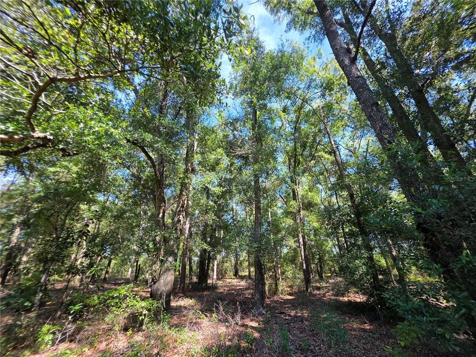 待售: $365,000 (4 贝兹, 2 浴室, 1860 平方英尺)