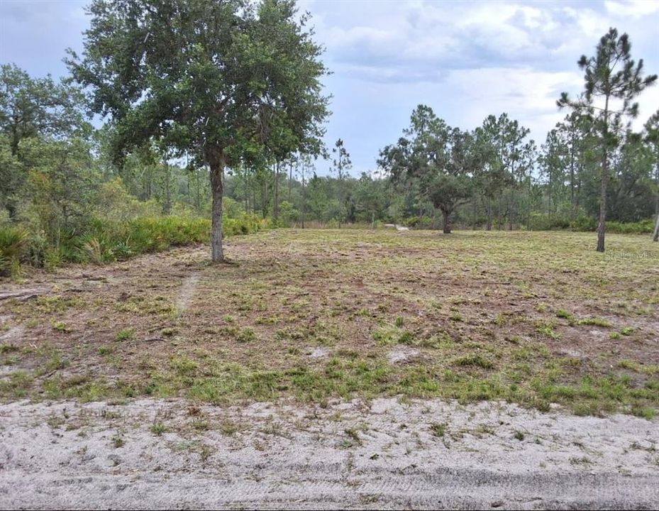 待售: $27,900 (0.50 acres)