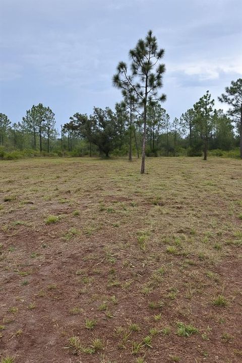 待售: $27,900 (0.50 acres)