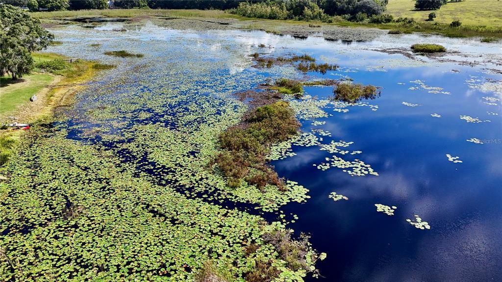 En Venta: $250,000 (3.99 acres)