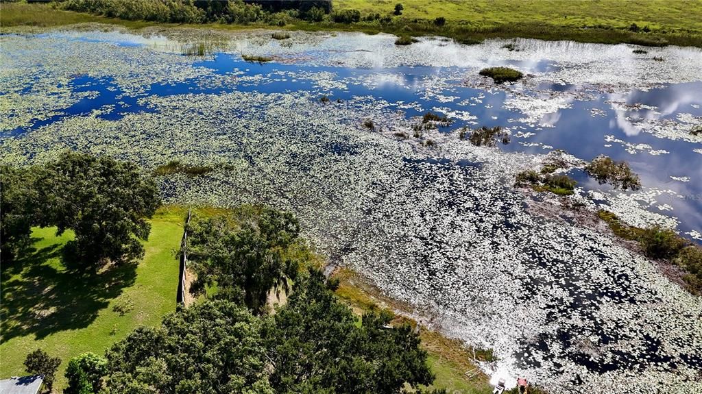 En Venta: $250,000 (3.99 acres)