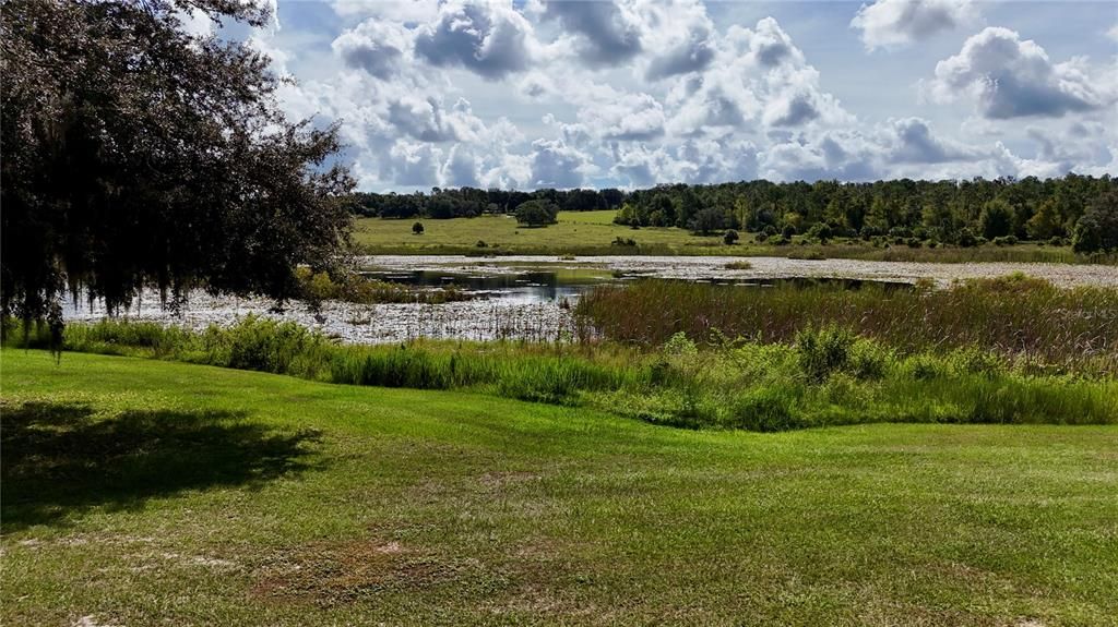 En Venta: $250,000 (3.99 acres)