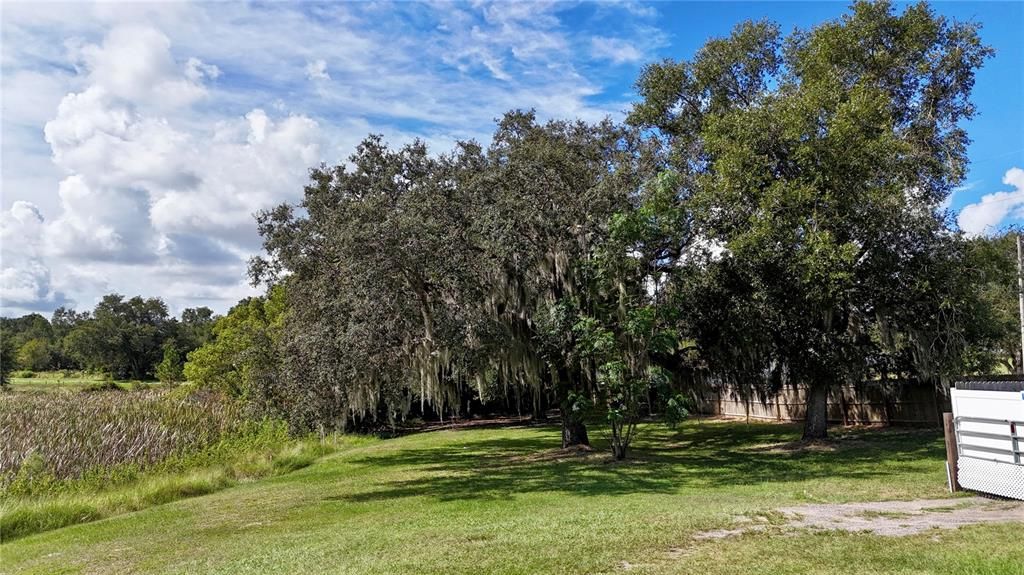 En Venta: $250,000 (3.99 acres)