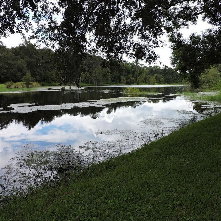 待售: $610,000 (3 贝兹, 2 浴室, 1919 平方英尺)