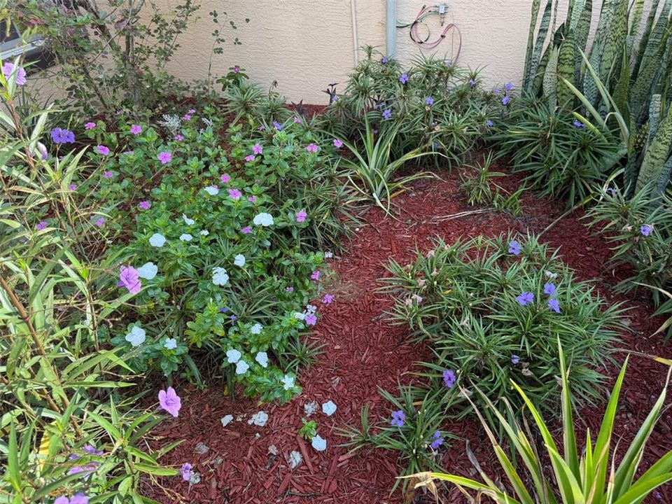 For Sale: $249,900 (3 beds, 2 baths, 1279 Square Feet)