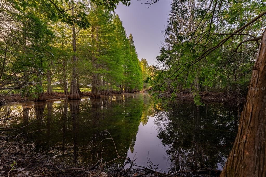 На продажу: $899,900 (4 спален, 3 ванн, 3589 Квадратных фут)