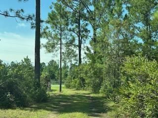 Active With Contract: $150,000 (2 beds, 1 baths, 672 Square Feet)