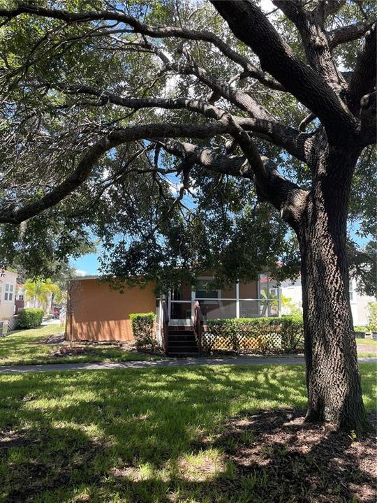 For Sale: $255,000 (2 beds, 2 baths, 492 Square Feet)