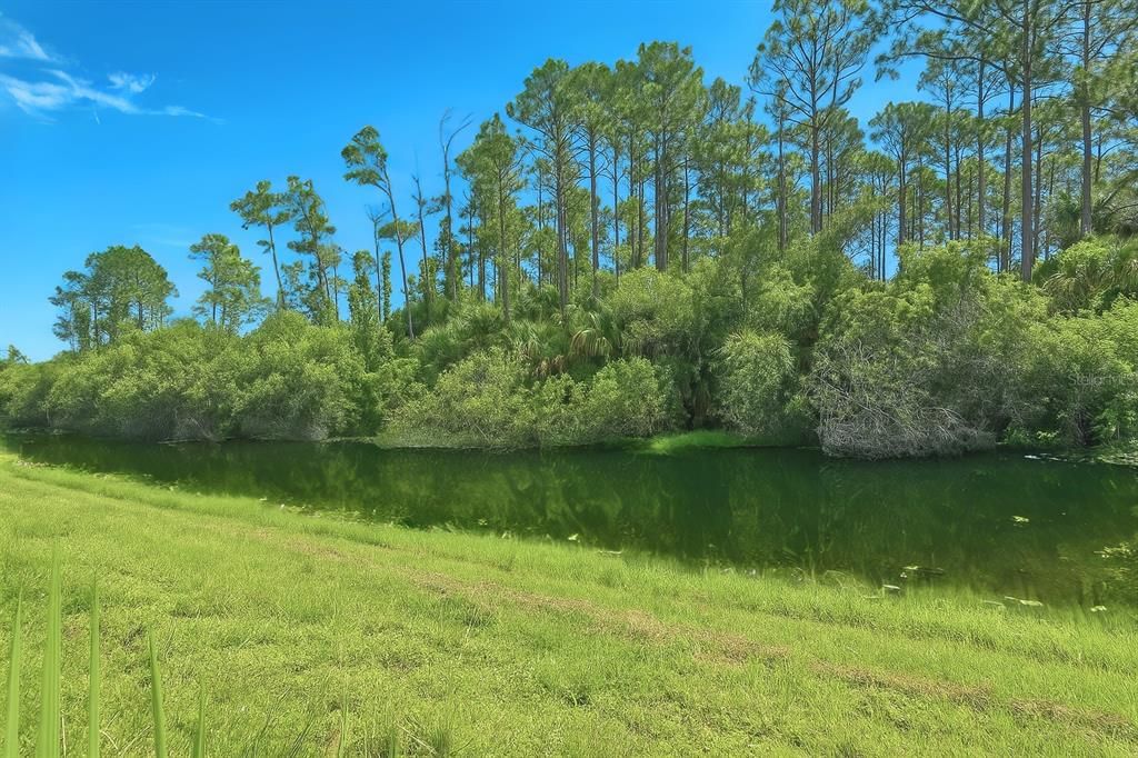 For Sale: $76,900 (0.79 acres)