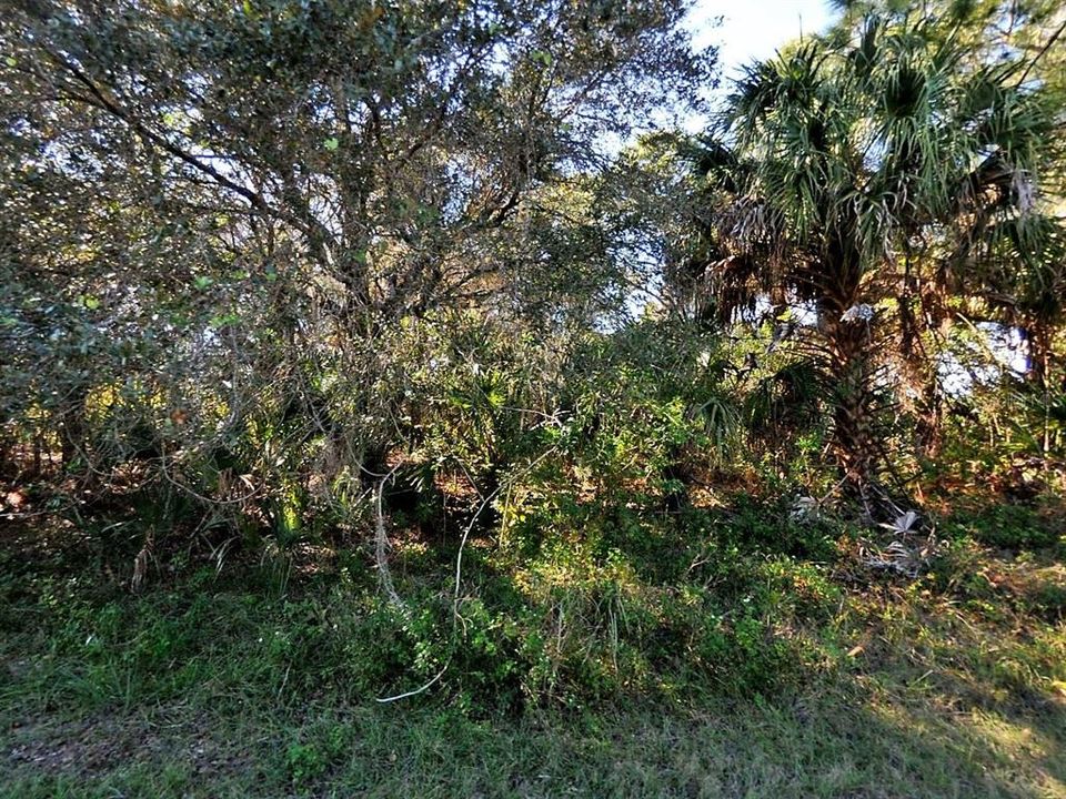 En Venta: $8,800 (0.23 acres)