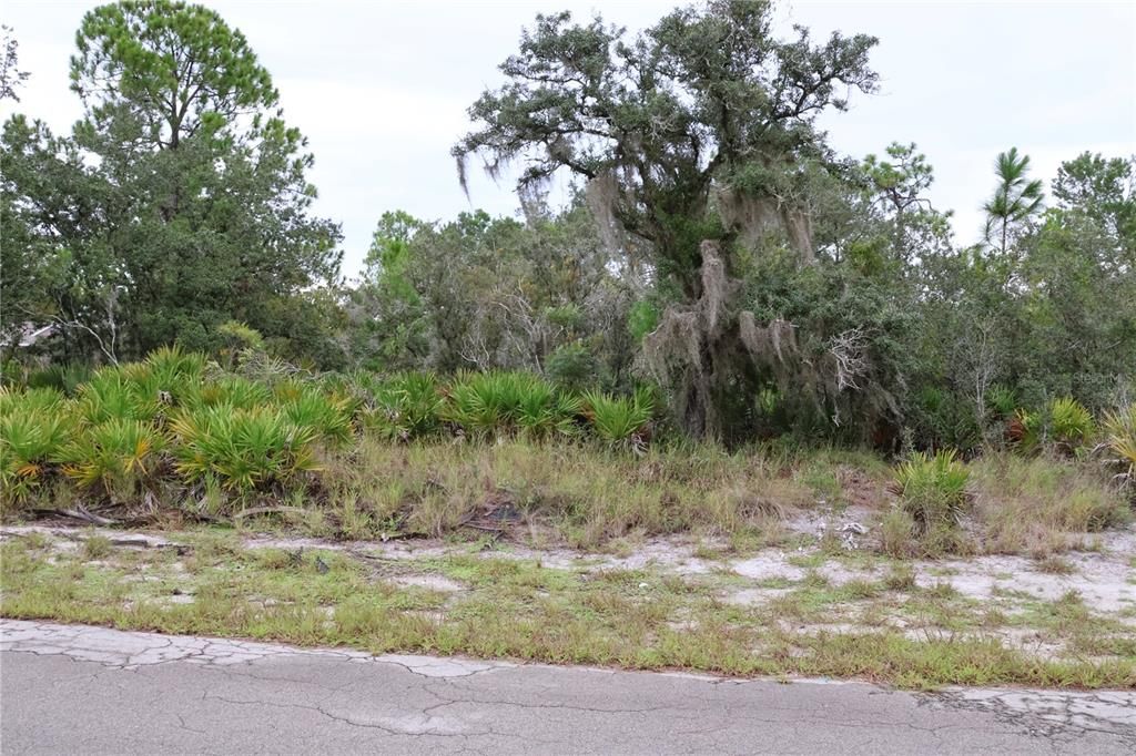 На продажу: $15,000 (0.23 acres)