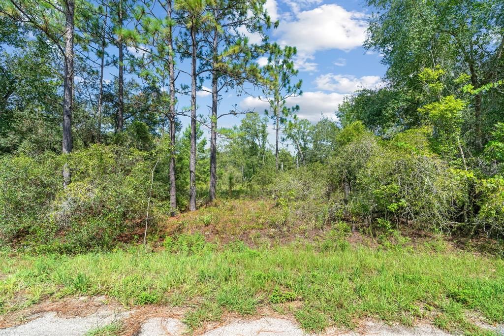 待售: $27,000 (0.38 acres)