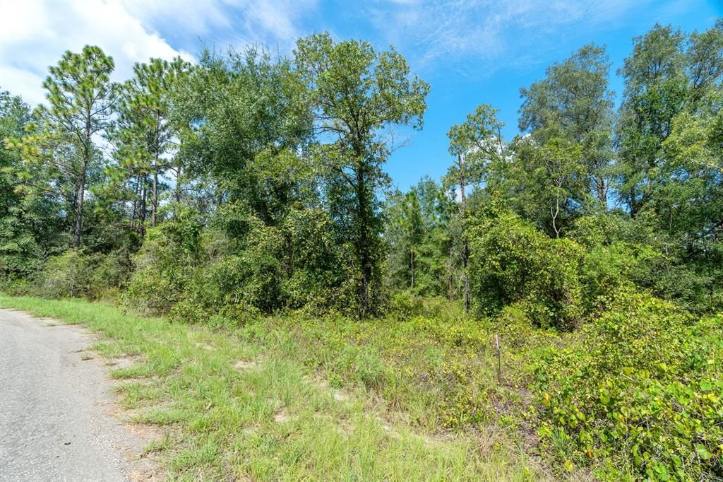 待售: $27,000 (0.38 acres)