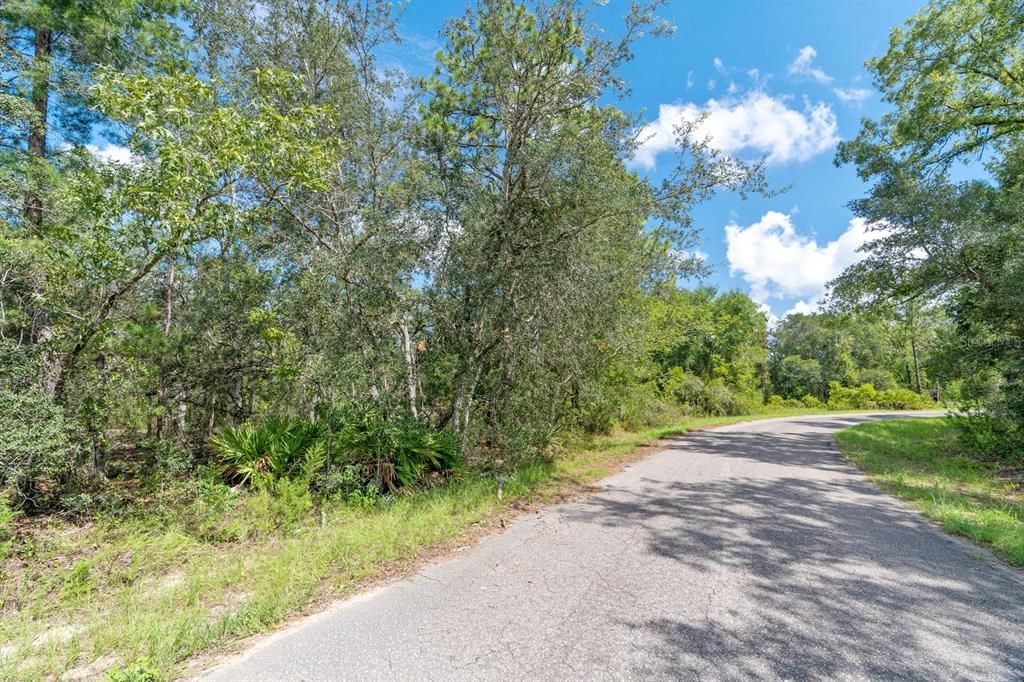 待售: $27,000 (0.38 acres)