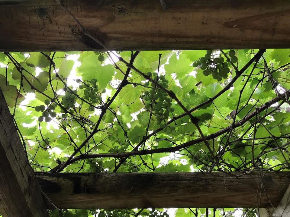 На продажу: $939,000 (5 спален, 3 ванн, 3662 Квадратных фут)