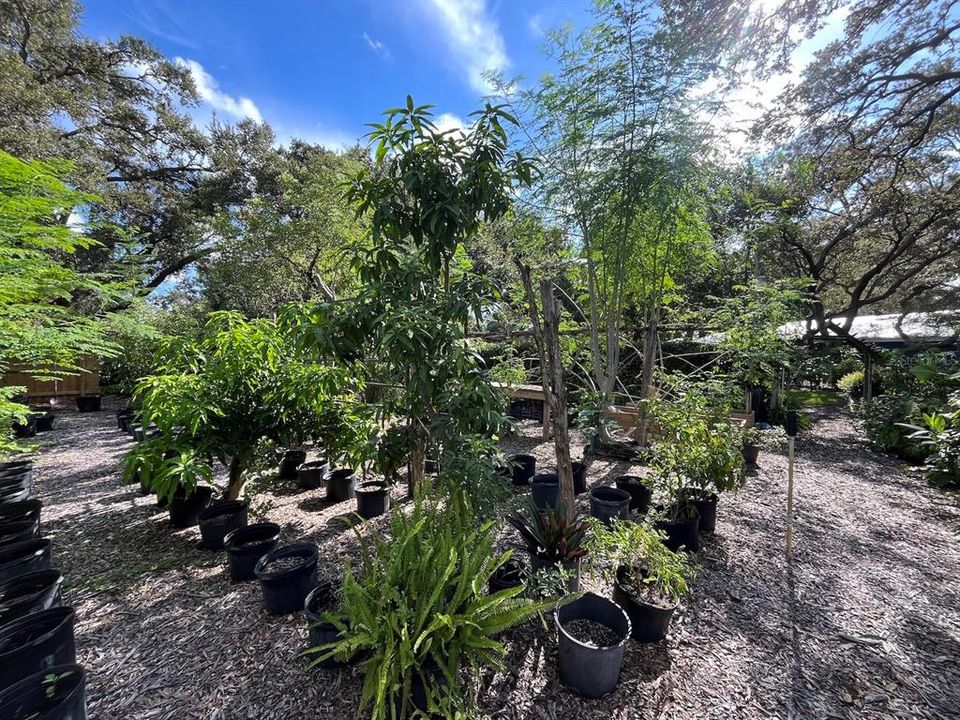 На продажу: $939,000 (5 спален, 3 ванн, 3662 Квадратных фут)