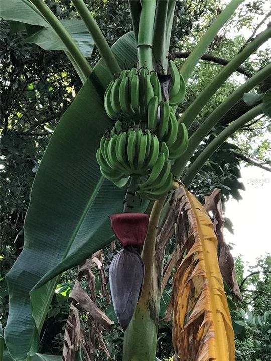 На продажу: $939,000 (5 спален, 3 ванн, 3662 Квадратных фут)