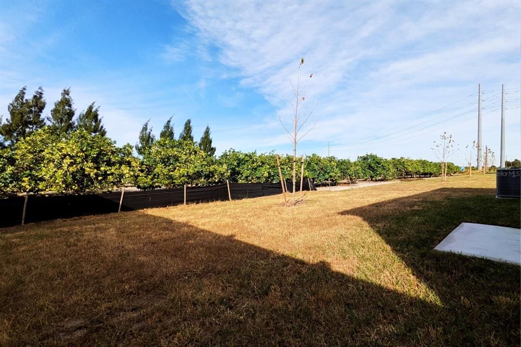 For Rent: $1,699 (3 beds, 2 baths, 1429 Square Feet)