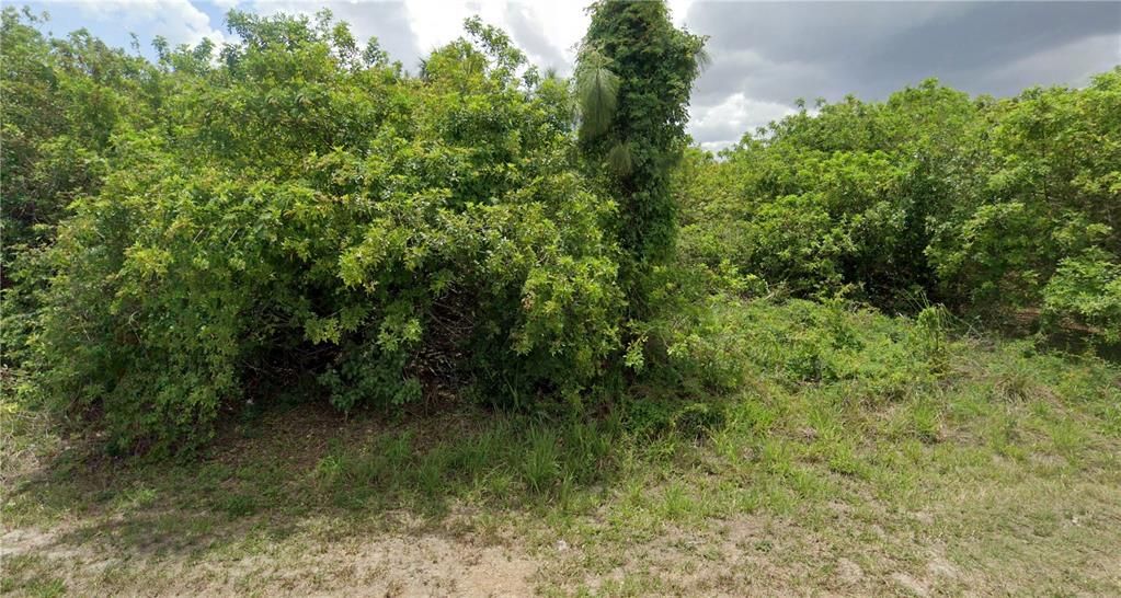 Active With Contract: $20,400 (0.25 acres)