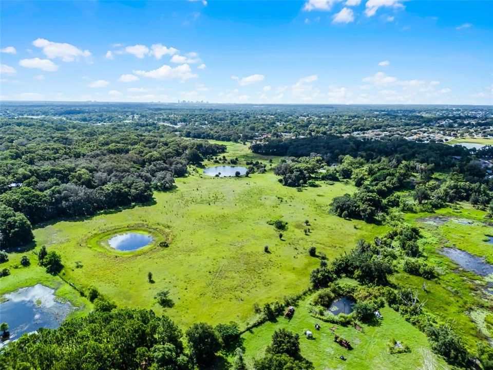 На продажу: $1,495,000 (18.35 acres)