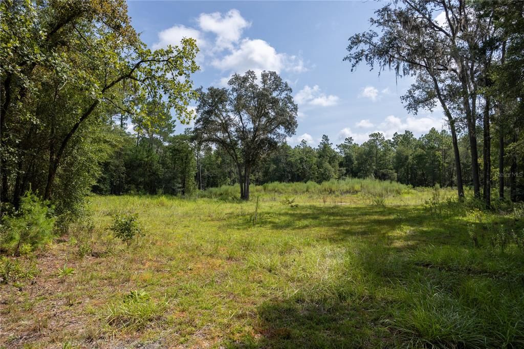 En Venta: $299,000 (4.79 acres)