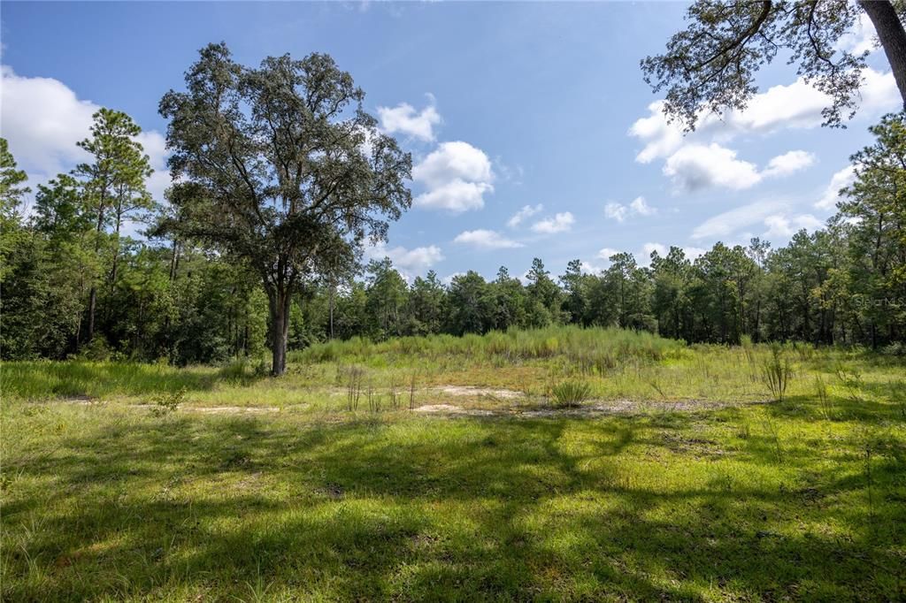 En Venta: $299,000 (4.79 acres)