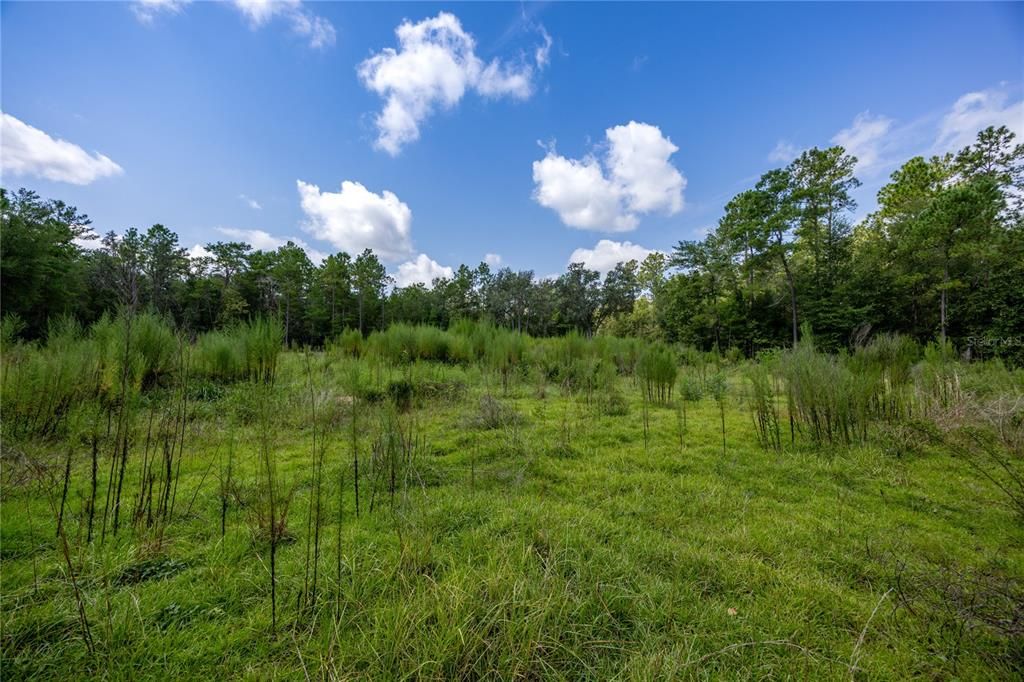 En Venta: $299,000 (4.79 acres)