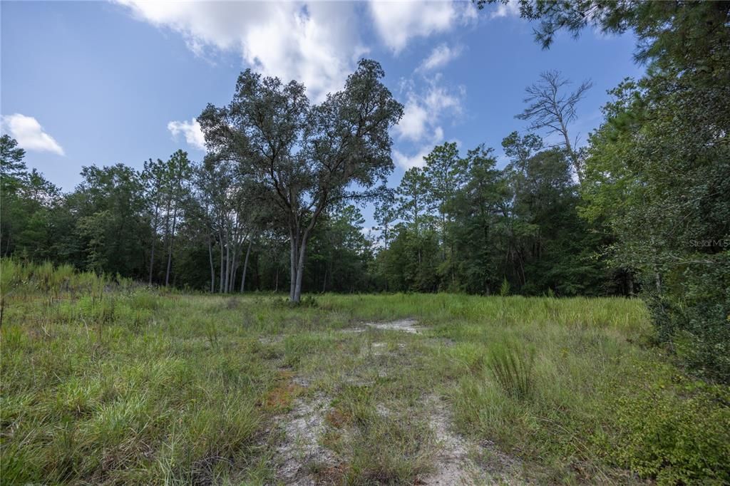 En Venta: $299,000 (4.79 acres)