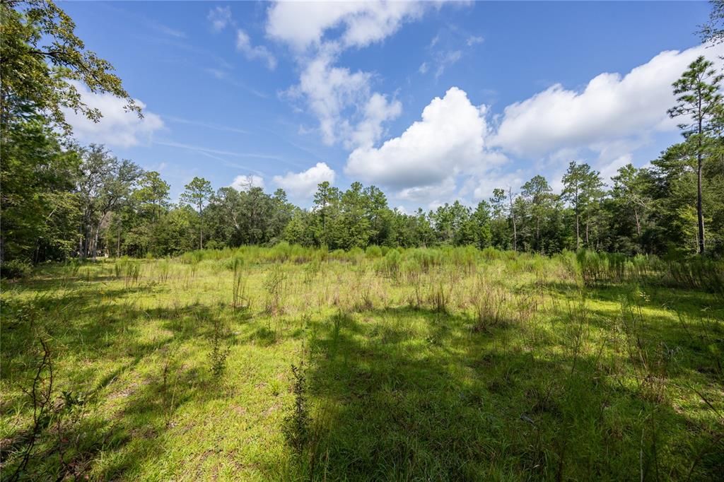 En Venta: $299,000 (4.79 acres)