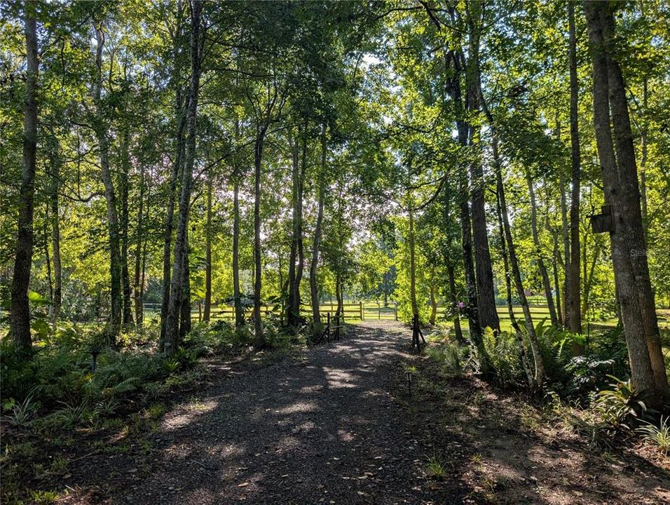 待售: $595,000 (5.32 acres)