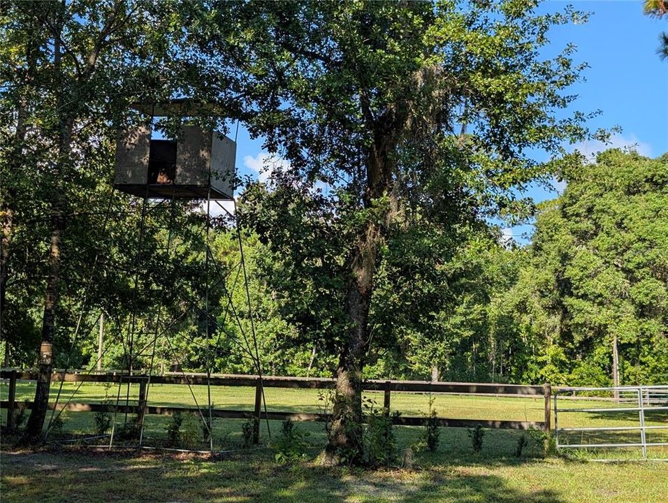 待售: $595,000 (5.32 acres)