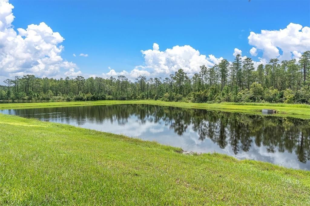 For Sale: $1,399,000 (5 beds, 4 baths, 4218 Square Feet)