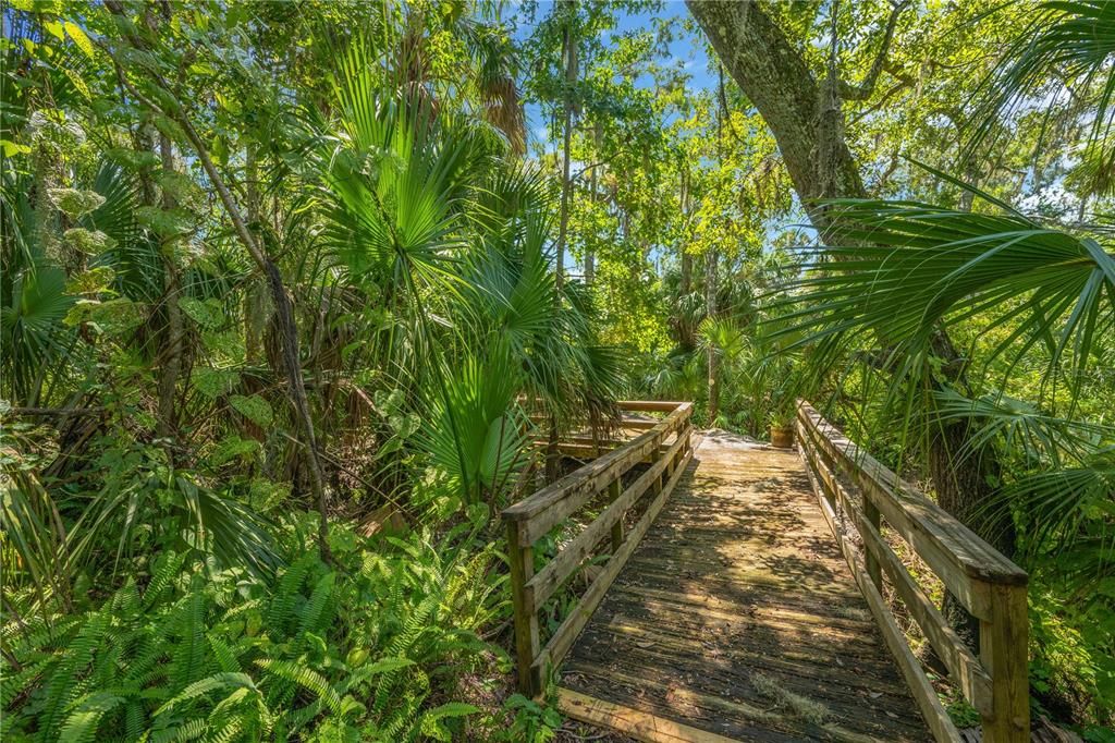 Под контрактом: $850,000 (4 спален, 3 ванн, 4819 Квадратных фут)