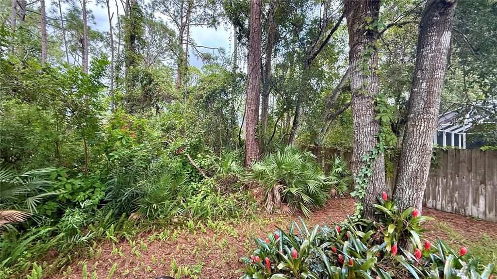 Activo con contrato: $309,000 (3 camas, 2 baños, 1807 Pies cuadrados)