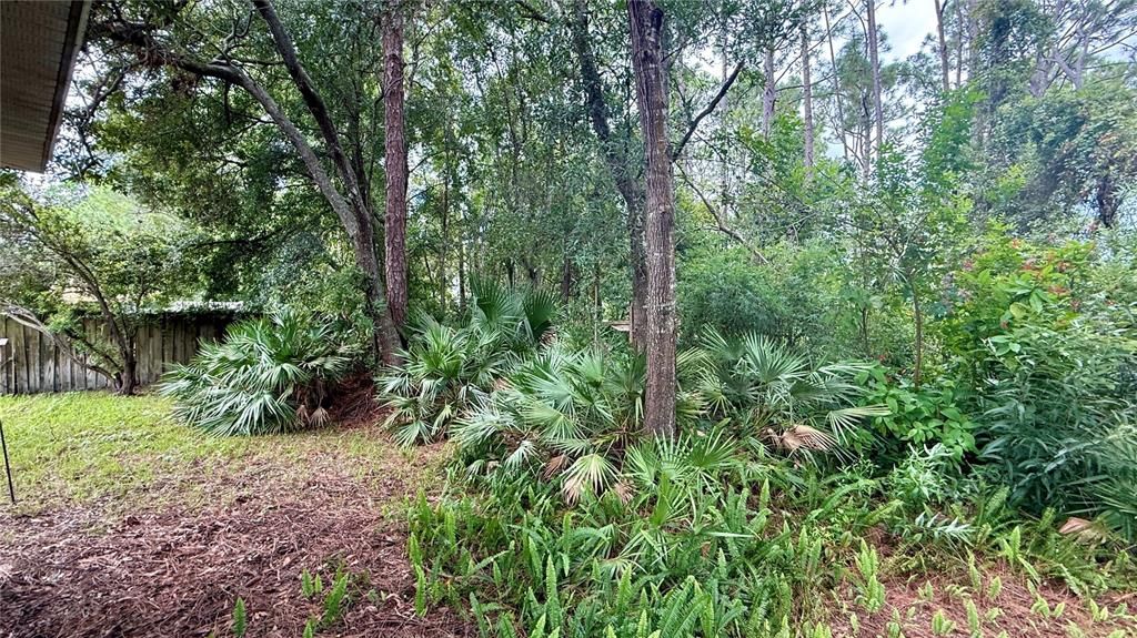 Activo con contrato: $309,000 (3 camas, 2 baños, 1807 Pies cuadrados)