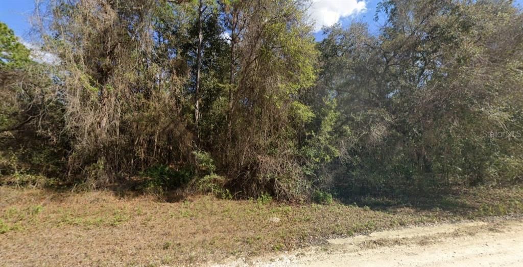 最近售出: $21,000 (0.46 acres)