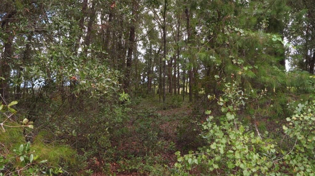 Active With Contract: $45,997 (0.57 acres)