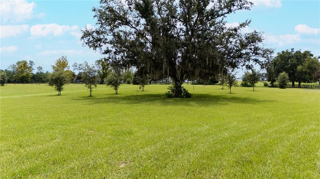 For Sale: $324,999 (5.12 acres)
