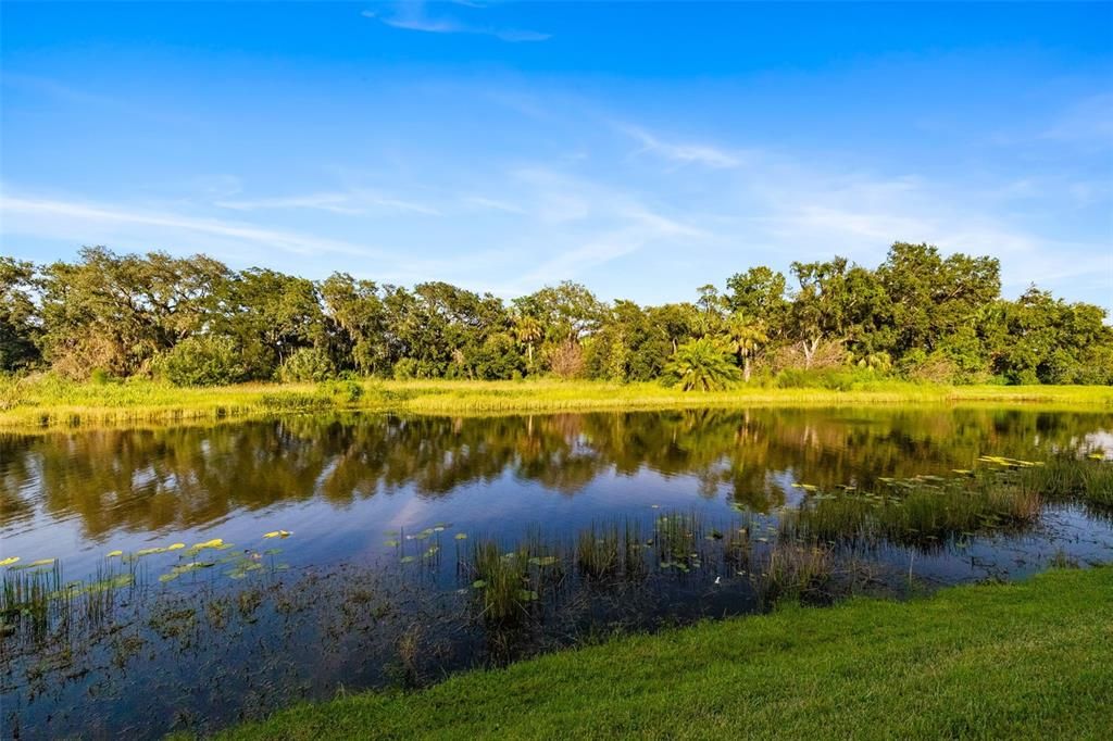 Под контрактом: $265,000 (2 спален, 2 ванн, 1496 Квадратных фут)