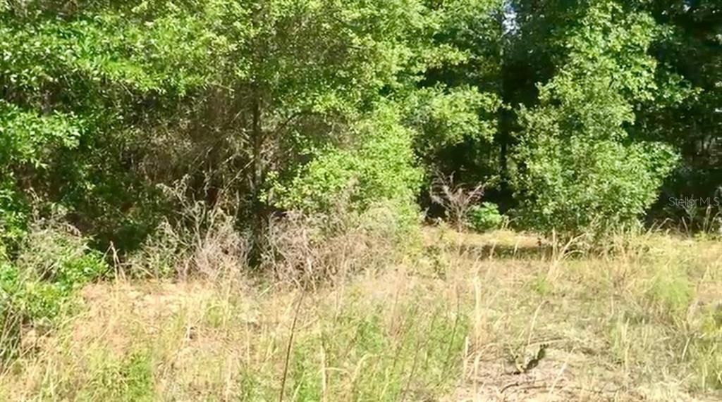 待售: $55,000 (1.00 acres)