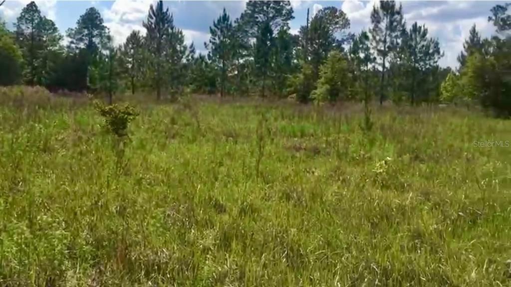 待售: $55,000 (1.00 acres)