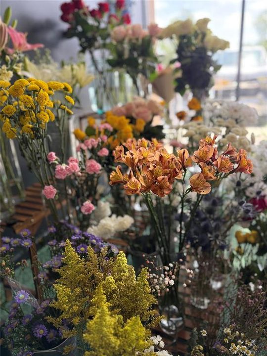 待售: $75,000 (0 贝兹, 0 浴室, 1150 平方英尺)