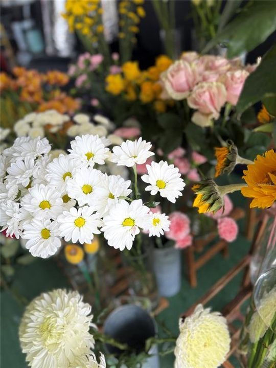 待售: $75,000 (0 贝兹, 0 浴室, 1150 平方英尺)