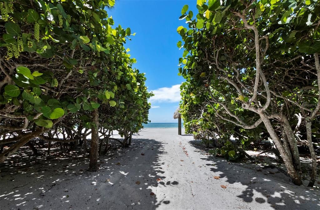 Active With Contract: $3,700,000 (3 beds, 3 baths, 2940 Square Feet)