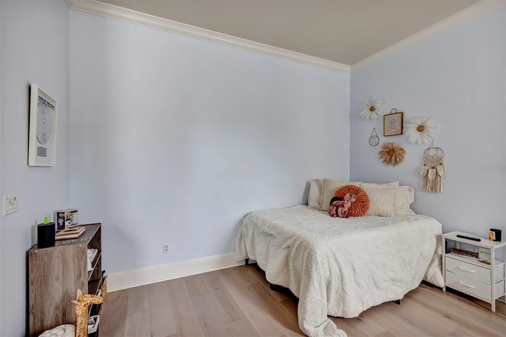 待售: $3,350,000 (5 贝兹, 5 浴室, 7573 平方英尺)