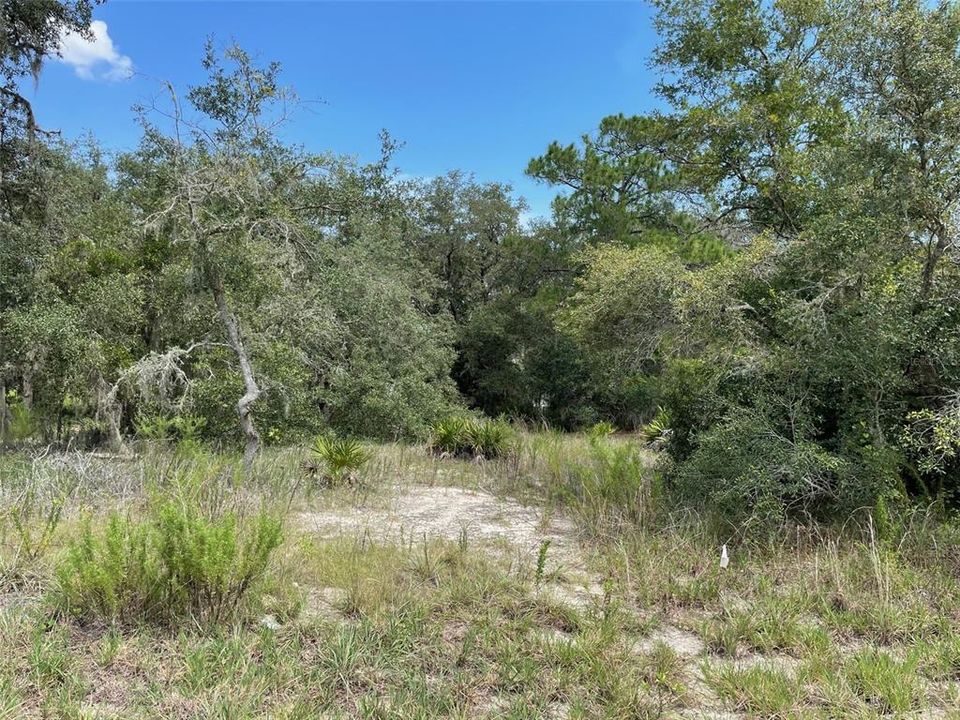 For Sale: $73,750 (0.41 acres)