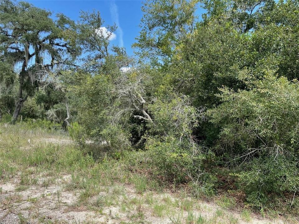 For Sale: $73,750 (0.41 acres)