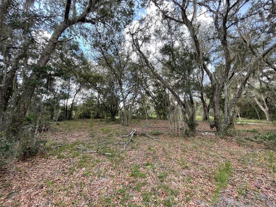 For Sale: $73,750 (0.41 acres)