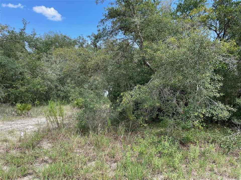 For Sale: $73,750 (0.41 acres)