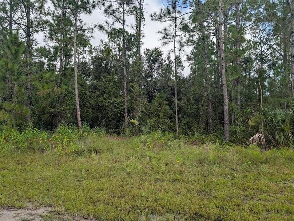 For Sale: $85,000 (0.53 acres)